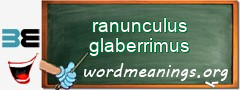 WordMeaning blackboard for ranunculus glaberrimus